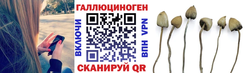Галлюциногенные грибы ЛСД  Гвардейск 